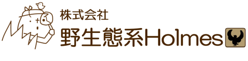 株式会社野生態系Ｈｏｌｍｅｓ